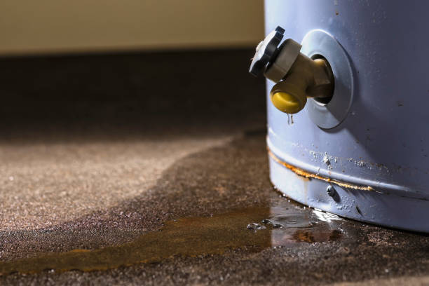  Laurel Hollow, NY Water damage restoration Pros