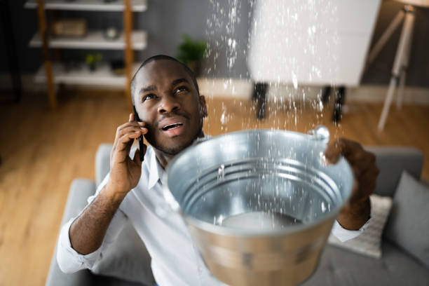 Best Water damage cleanup near me  in Laurel Hollow, NY