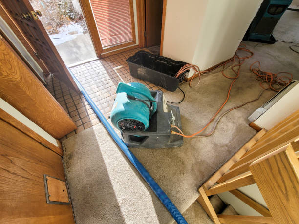 Best Flooded house restoration  in Laurel Hollow, NY