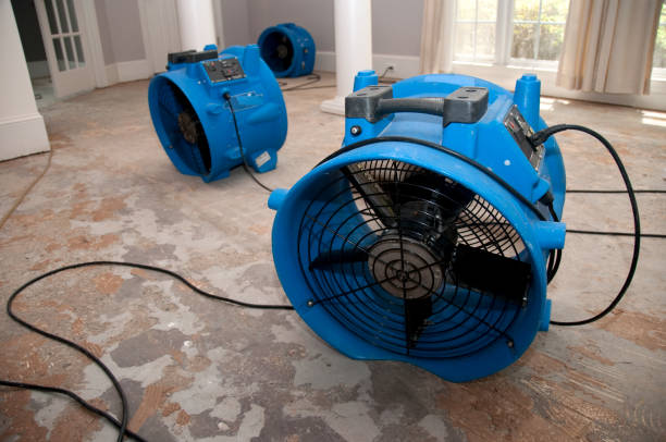 Best Water damage restoration near me  in Laurel Hollow, NY