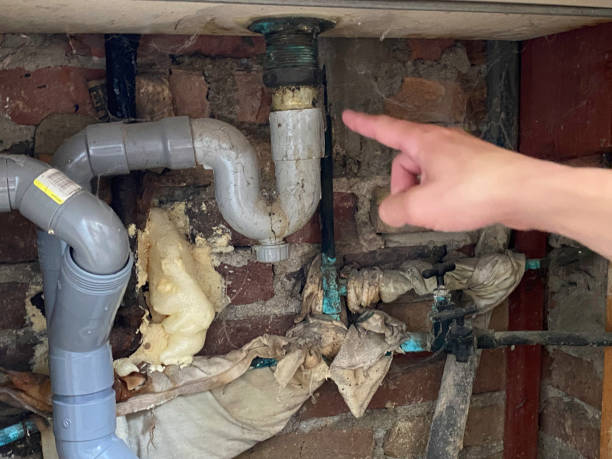 Best Commercial water damage restoration  in Laurel Hollow, NY
